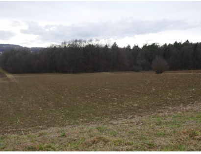 Ostalo - Večeslavci /, 9262 Rogašovci