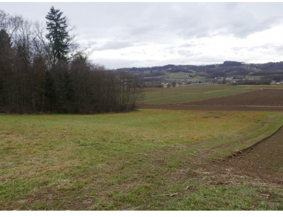 Ostalo - Večeslavci /, 9262 Rogašovci