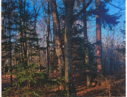 Ostalo - Večeslavci /, 9262 Rogašovci