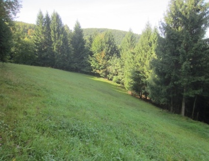 Ostalo - Zadobje  , 4224 Gorenja vas