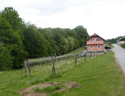 Ostalo - Žihlava 17a, 9244 Sveti Jurij ob Ščavnici