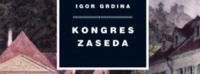 V esejistično napisanem delu Kongres zaseda Igor Grdina predstavlja pomembne dogodke iz politične zg
